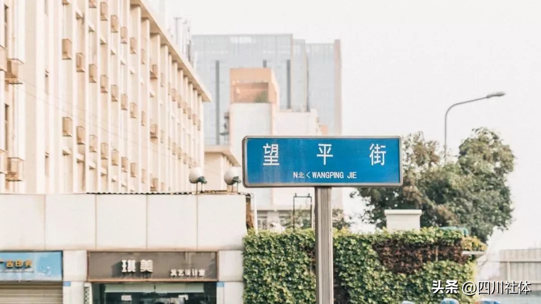 2022中国飞盘联赛总决赛杭州,2022首届中国飞盘联赛