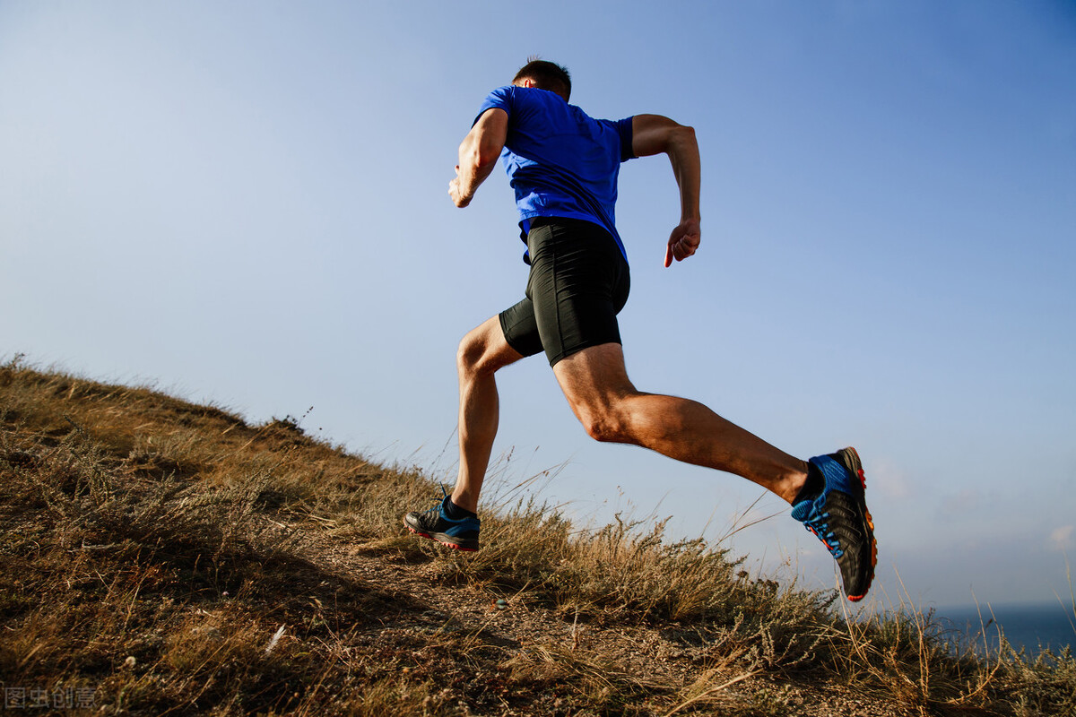 体育的国度,体育文化讲解