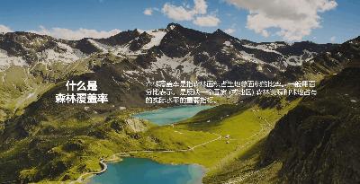 这个视频插入小技巧学会了，PPT瞬间高大上有木有