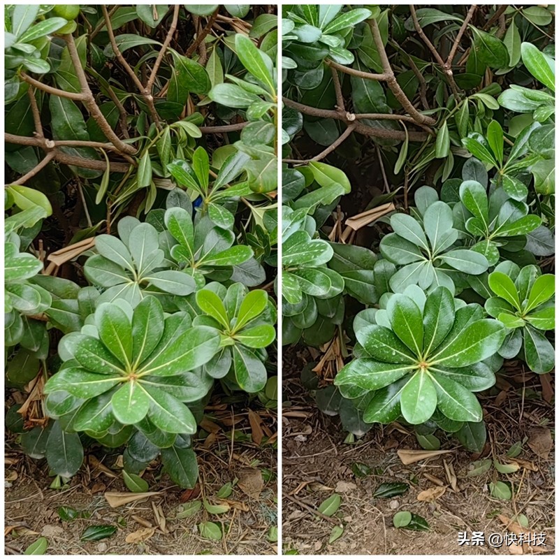 华为mate50e跟mate50哪个先上市,华为mate50和mate50e买哪个好