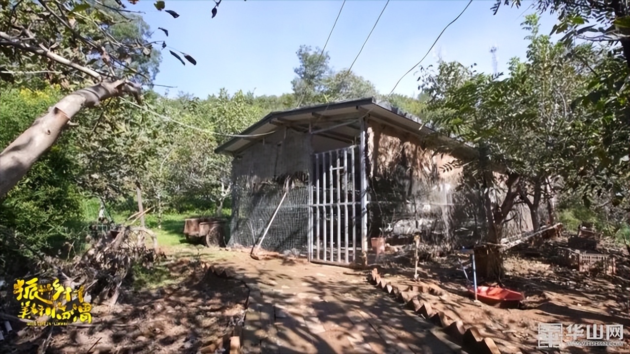 选调生助力乡镇,驻村干部助力乡村振兴