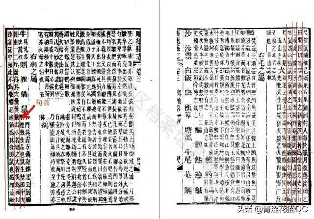 广东老鼠的习惯,吃老鼠哪里的习俗