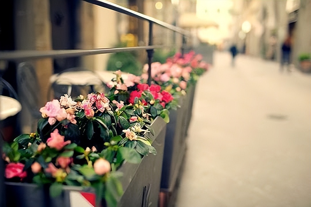 人品差的人喜欢用六种微信头像,人品越差的人的头像