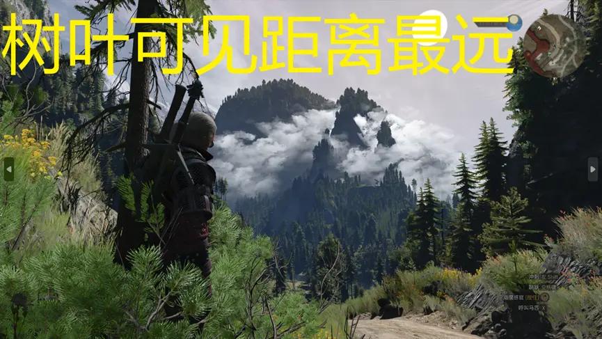 巫师3狂猎switch怎么调帧数,巫师3次世代3060画质最佳配置