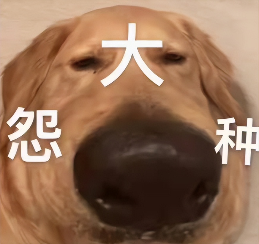 为什么开罗游戏广受好评,开罗游戏现在怎么样了