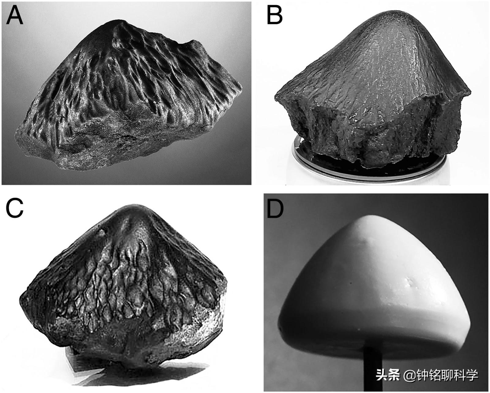河南哪里坠落过陨石,河南火流星陨石落下视频