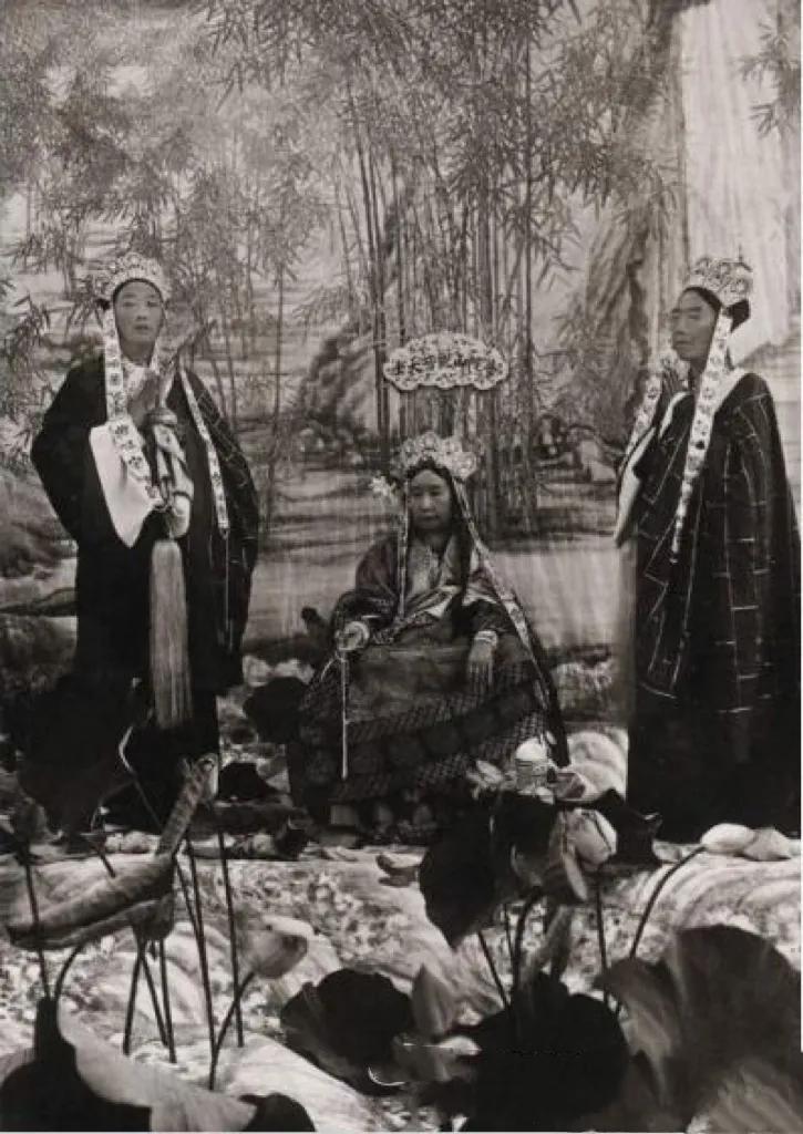 刷新三观的事件,世界自然奇闻异事大全