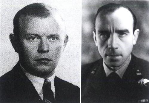 漂泊的鱼完整版,漂泊的鱼鹰