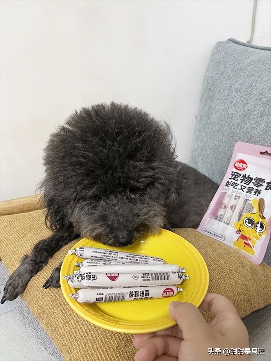 狗零食最好的牌子,6大狗零食种类分析测评