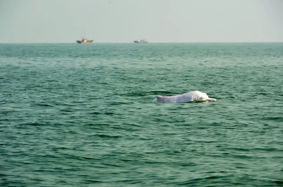 这座海滨小城可真美丽,小众旅行海边小城市