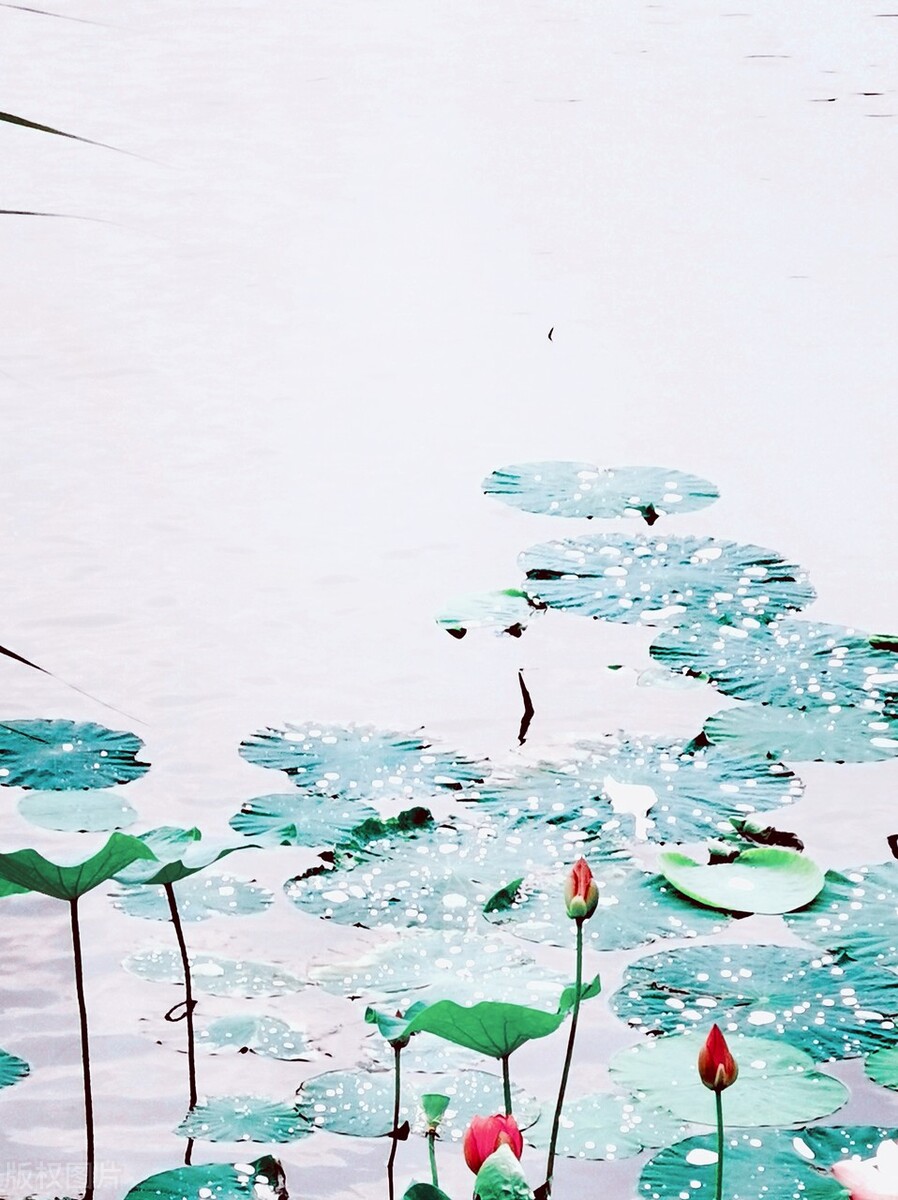 十六首诗词中的更漏，用法百变，是婉约诗词中的最佳道具