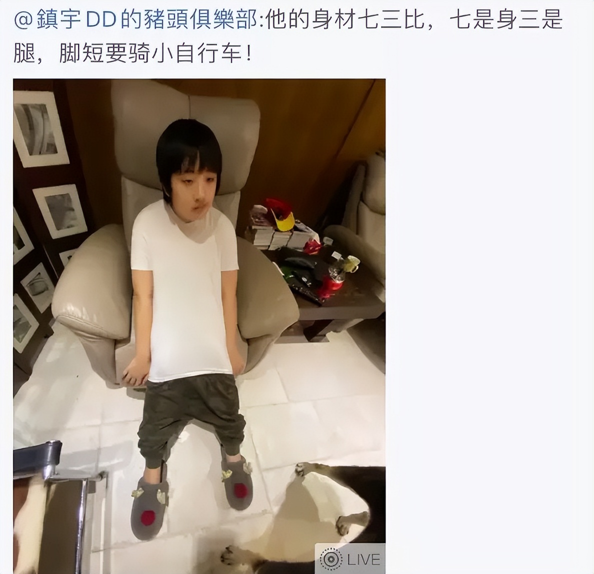 爸爸去哪儿播出8年三对夫妻离婚,爸爸去哪儿嘉宾现状