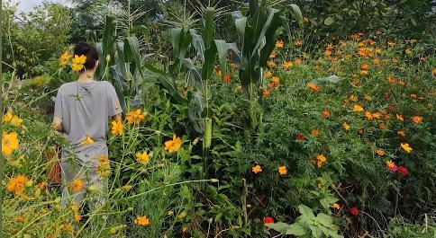 蔡依林戴奢侈品珠宝,蔡依林戴珠宝