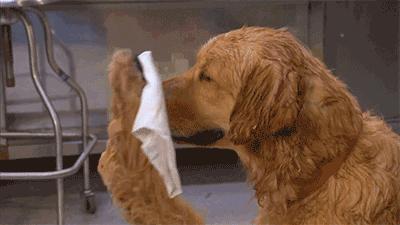 身体出现这几种异味一定要注意,哪些全身疾病可以引起身体异味