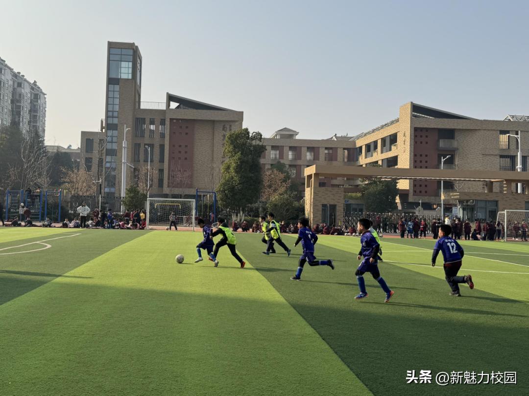 南京市晓庄小学校园足球联赛,区长杯小学校园足球联赛