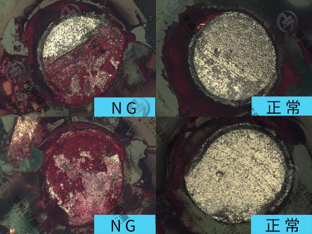 红墨水染色试验,红墨水试验参照的标准
