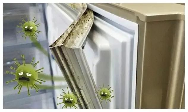 志高小冰箱去除异味,冰箱有异味怎么去除