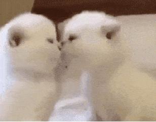 患上宫颈癌后果有多严重啊,年轻人得了宫颈癌能治好吗