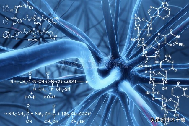 同花顺选股公式函数,分时线选股函数公式