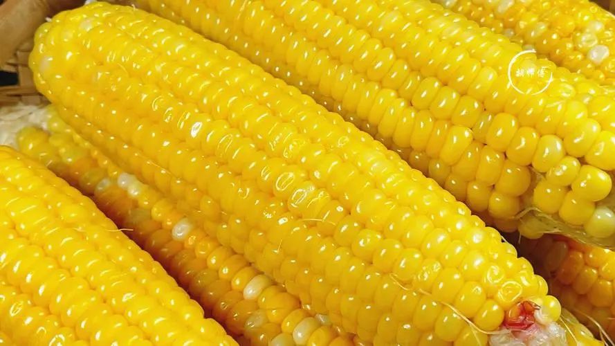 吃玉米喝玉米水能减肥吗,玉米减肥还是紫薯减肥