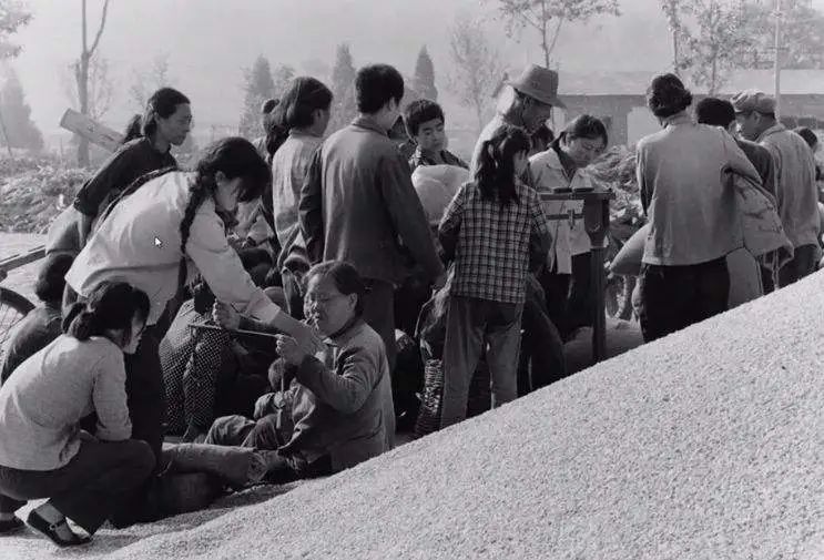 闵长富,辽宁闵长富