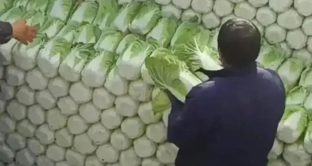 韩国泡面和中国方便面哪个好吃,同样的方便面都是不同的味道