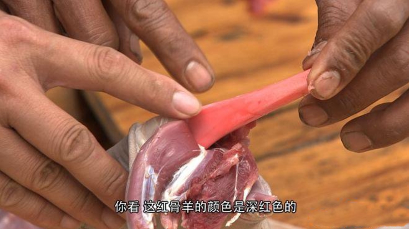 云南出现黑色怪羊,云南惊现怪羊