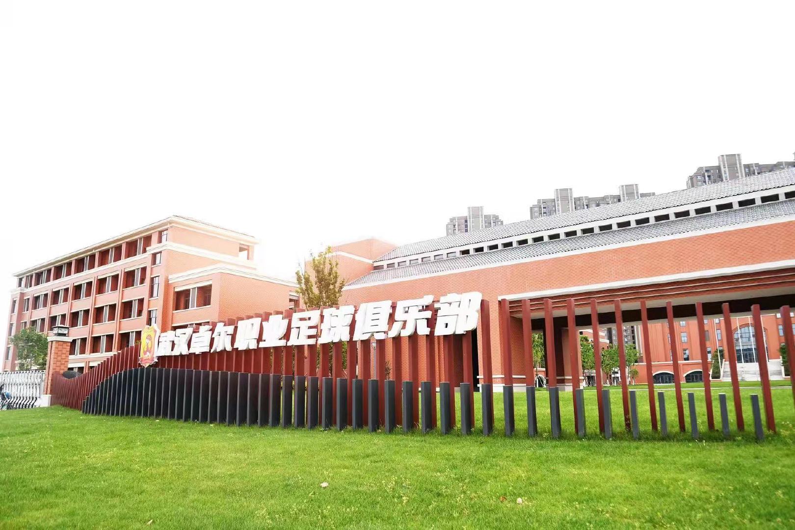 卓尔成长史,卓尔入主武汉队十周年