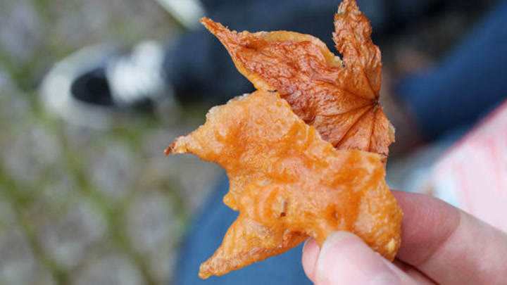 在中国用来喂猪的玉米芯,在中国喂猪的玉米棒子