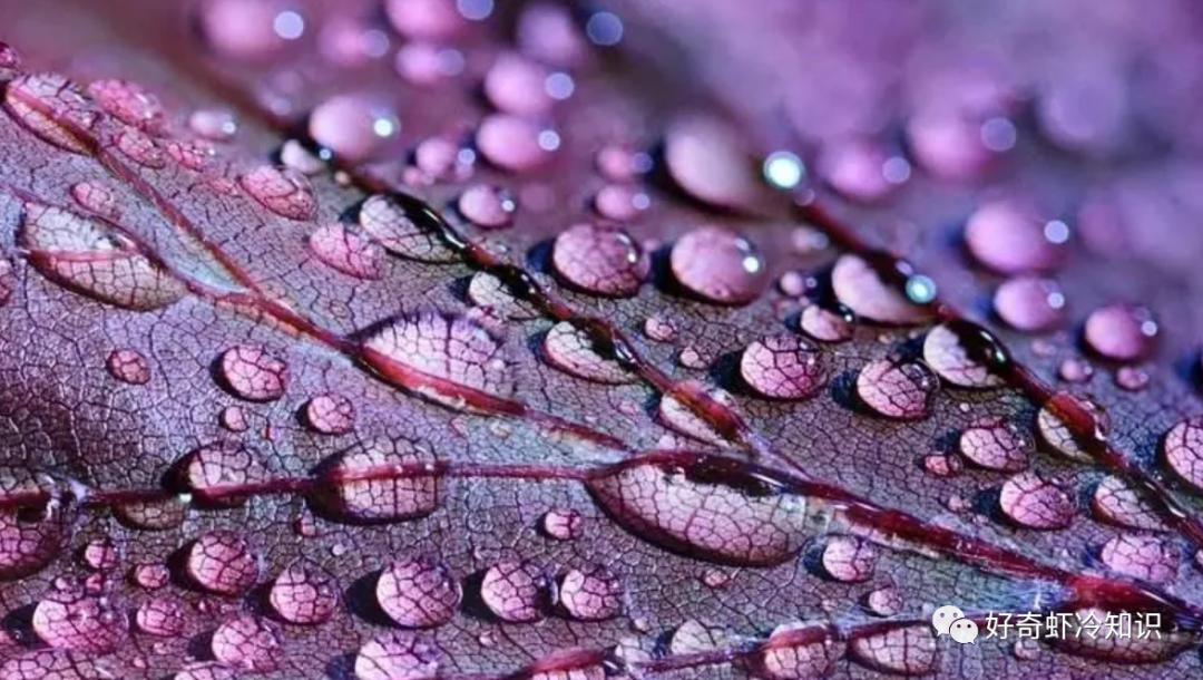 讲好ppt的考查点,讲好ppt的技巧