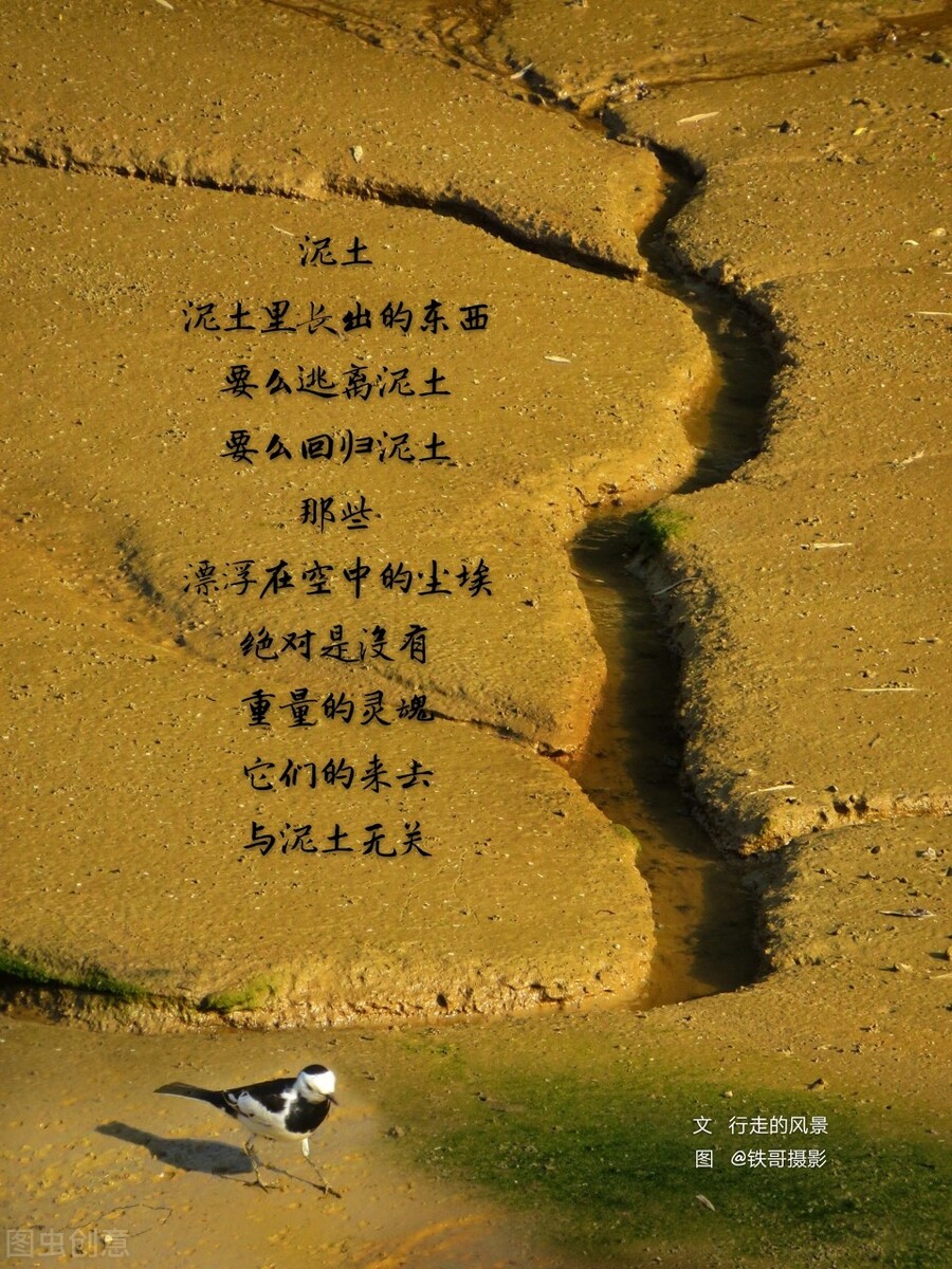 一个人醉酒的文案,醉酒文案短句朋友圈