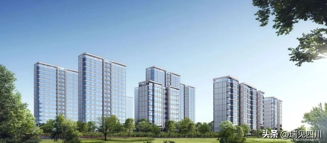 今年成都市场这些产品很能打！