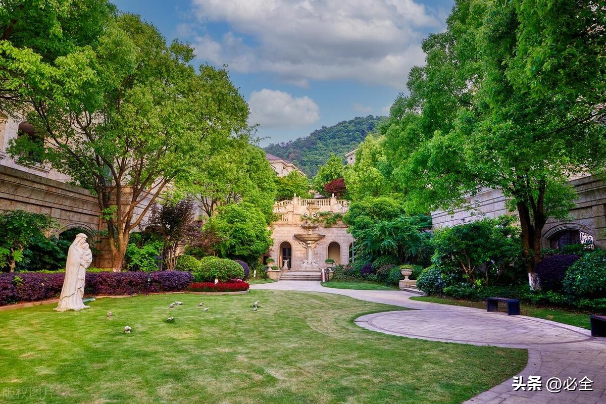 园林草坪要做什么,草坪景观布置