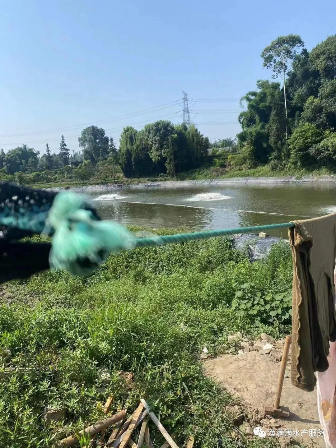 南美白对虾养殖前需要注意什么,南美白对虾养殖技术全过程求回答