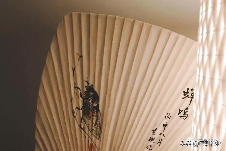 蝉的禅意深度有多深,蝉意与禅意