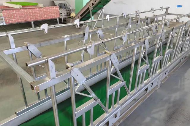 养殖致富项目养羊视频,养羊新技术如何提高羊产量