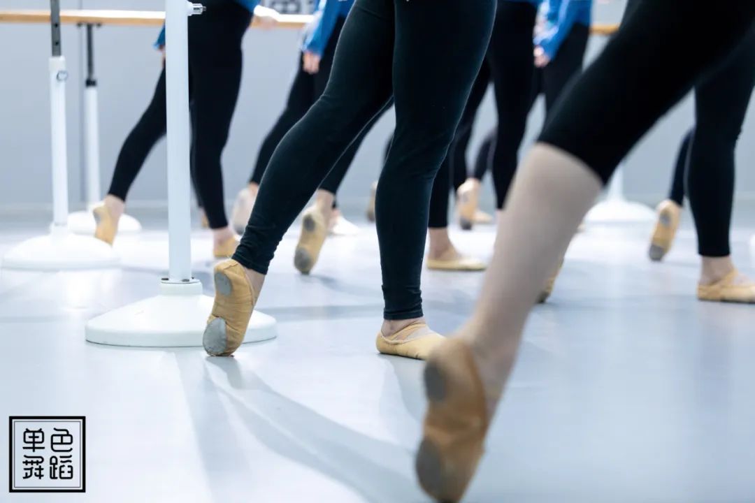不同舞种教学,不同舞种选择