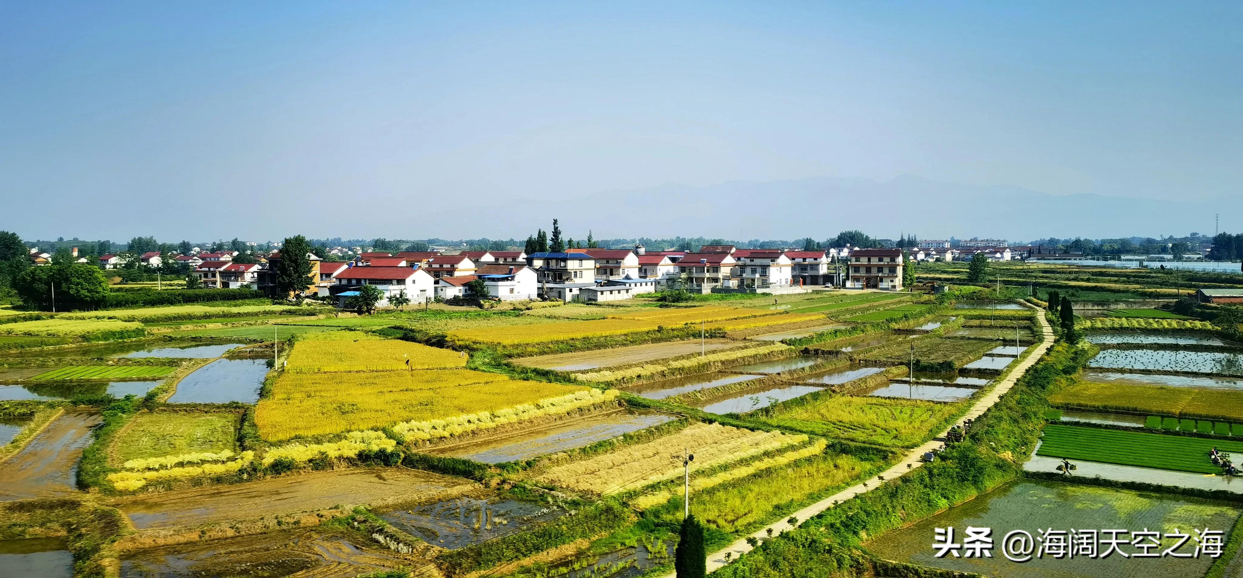 风吹麦浪完整版,风吹麦浪