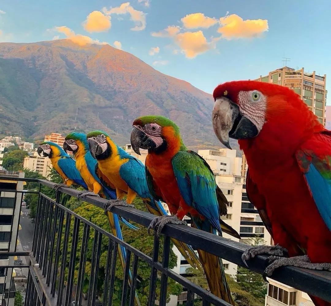 委内瑞拉贫穷到什么地步,南美洲穷国排名