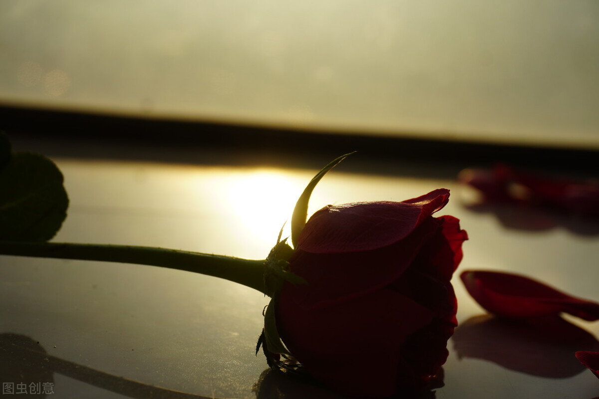 故事失踪的哥哥后续,故事弟弟行凶记