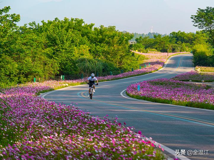 藏不住了！《梦华录》同款宋韵美学，就在温江这些地方→