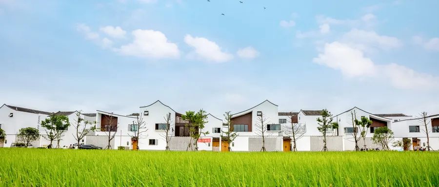 “Sheiseasy”什么意思?千万别乱用哦!