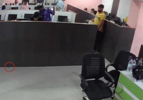 用伟哥、蟑螂和臭气弹，几位侠客对印度诈骗团伙进行了正义制裁