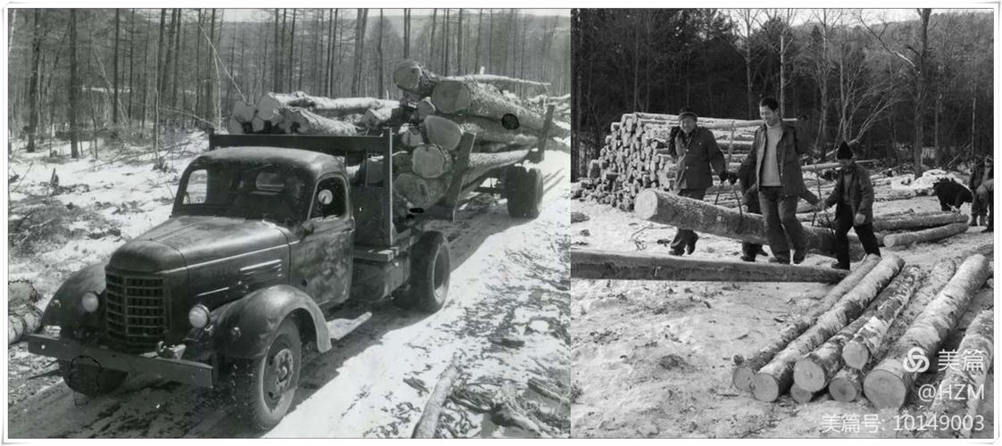 杀怒熊还是安抚怒熊?老猎手力排众议敢和发怒伤熊谈判|传奇