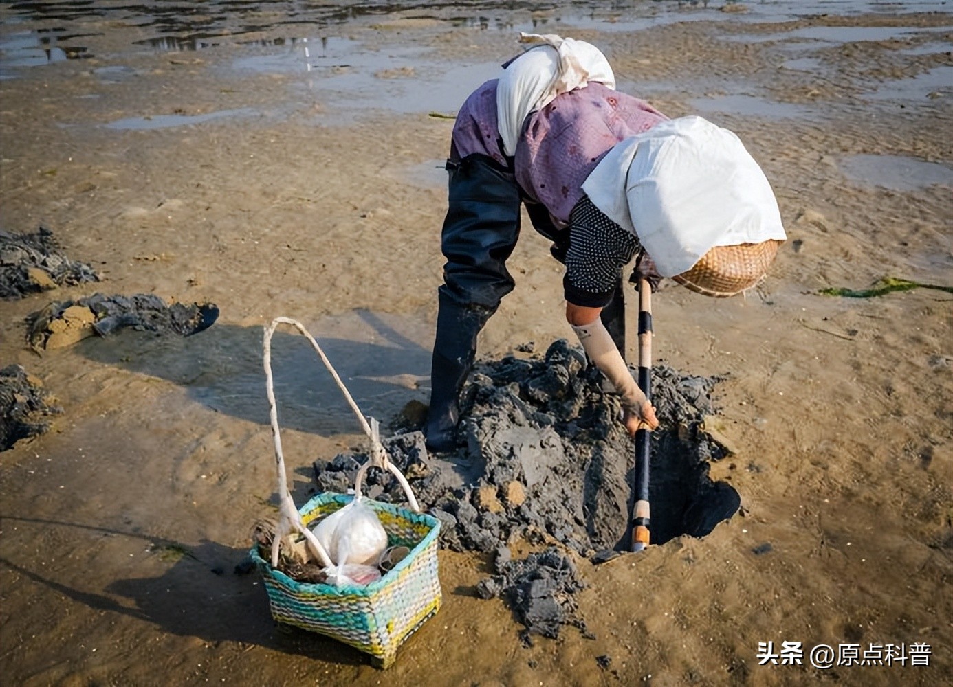 十大不起眼的赚钱行业排行榜最新,小县城利润最高的不起眼行业赚钱