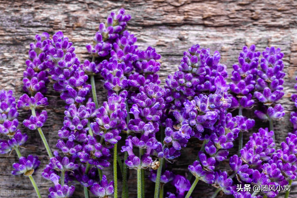 表哥跟我借300元,表哥借了200块提都不提了