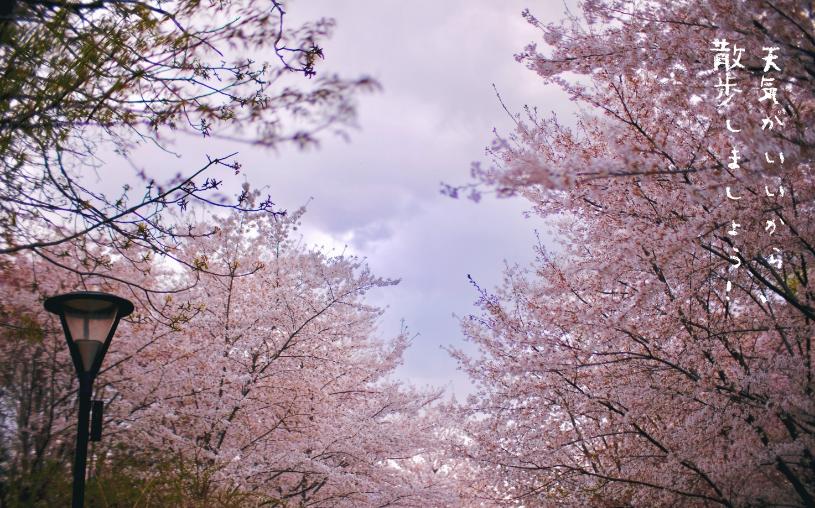 五一去大连详细攻略,五一大连旅游攻略