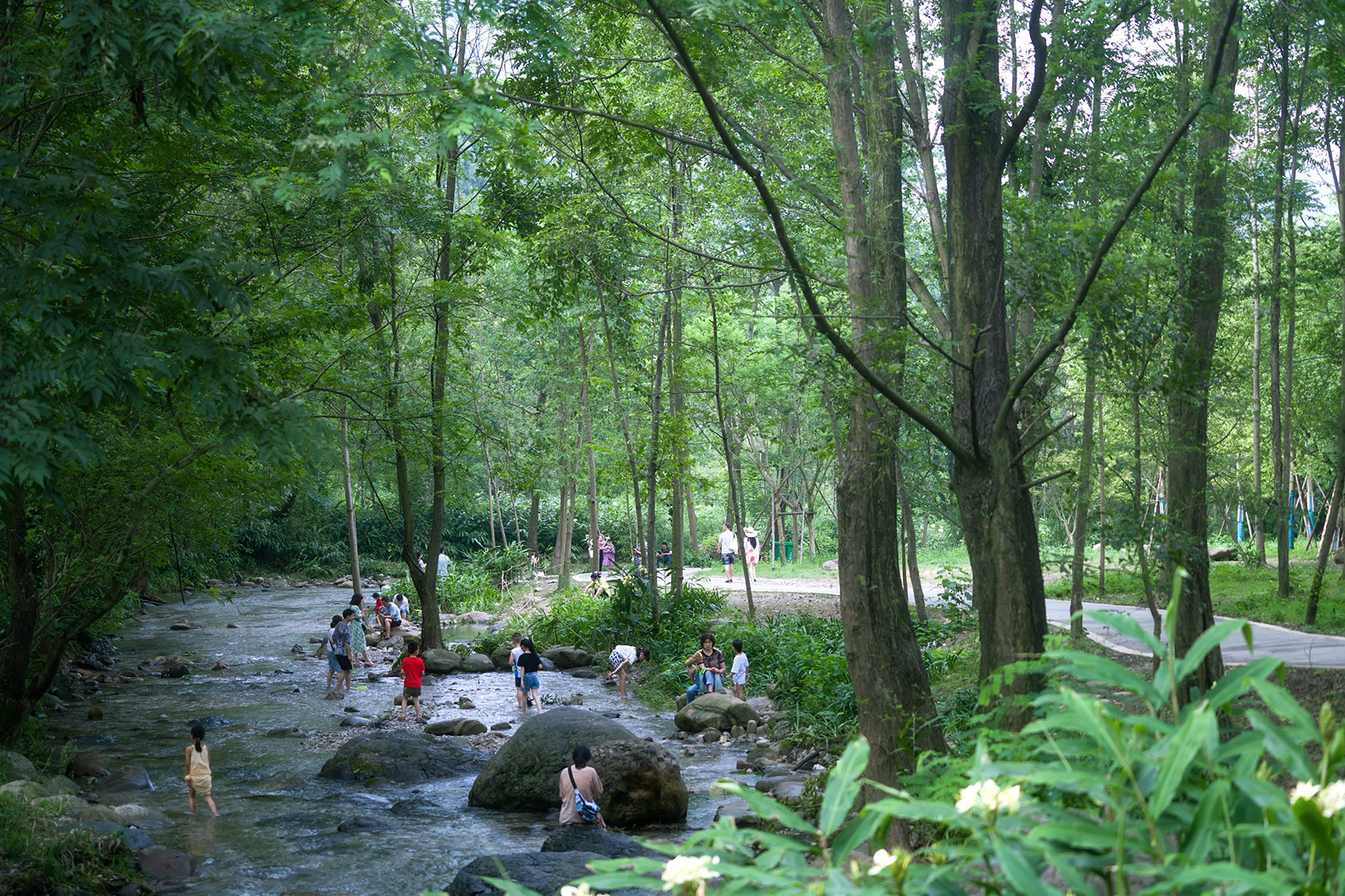 峨眉高桥小镇是哪个公司开发的,峨眉高桥小镇门票