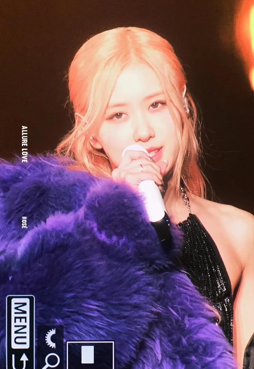 rosa澳洲野玫瑰,澳洲rose野玫瑰