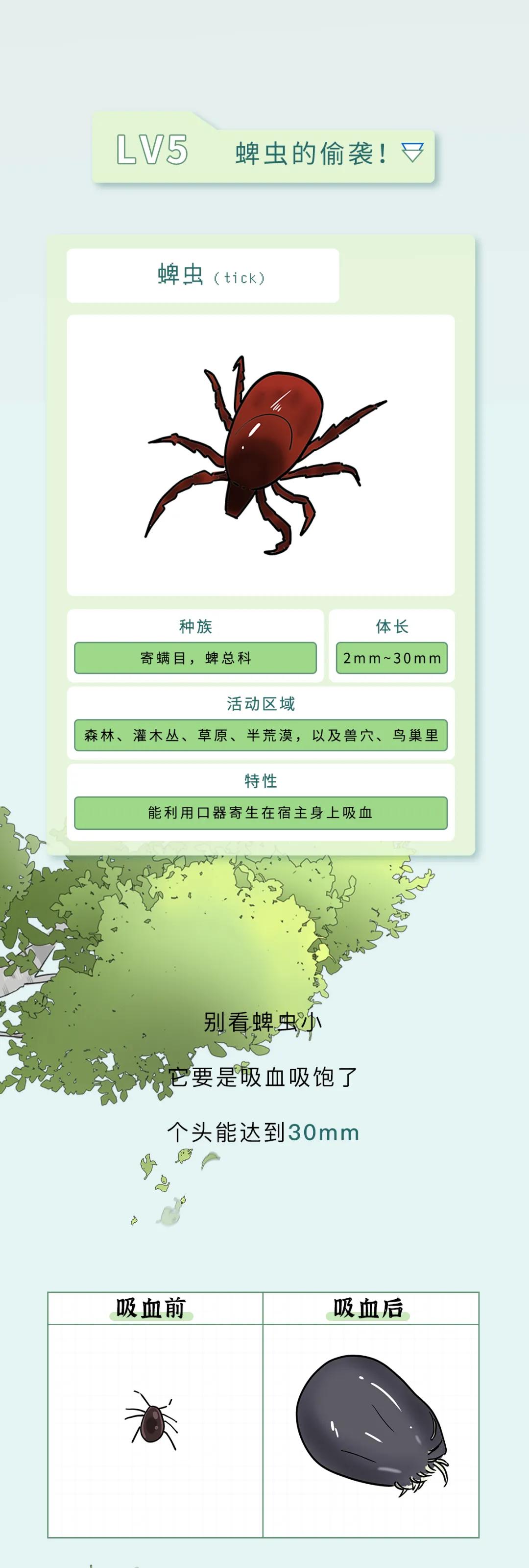 最近看到这些虫子，不要随便拍，建议提前了解（漫画讲解）